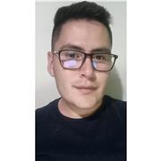 Profesor básica primaria